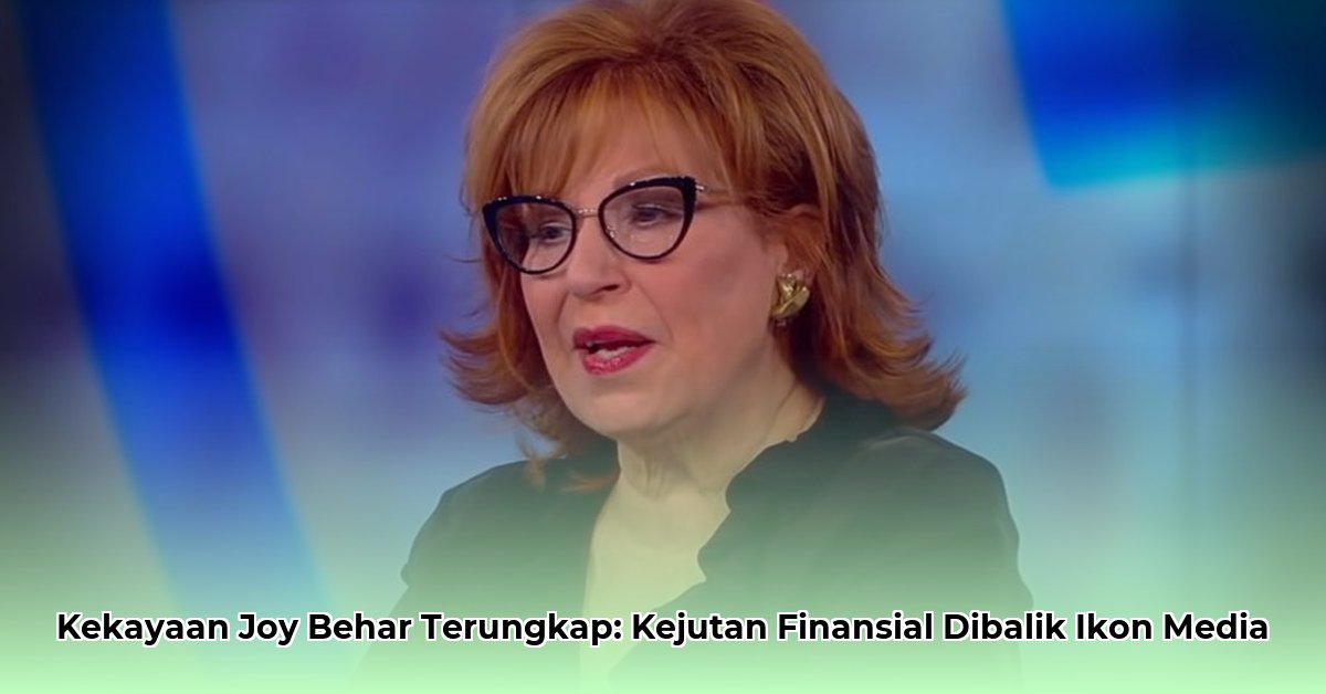 joy behar net worth